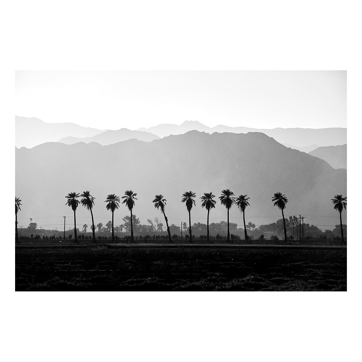 Coachella Vibes