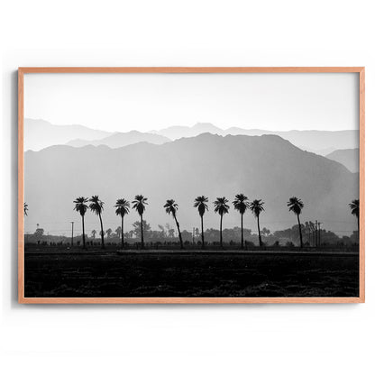 Coachella Vibes