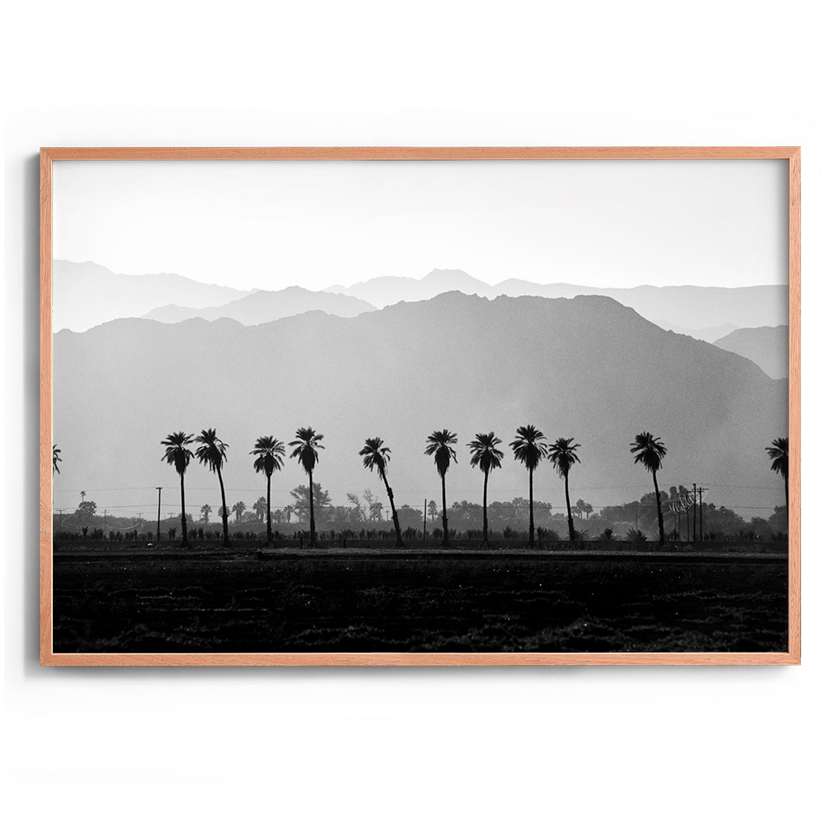 Coachella Vibes