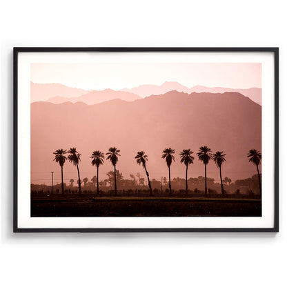 Coachella