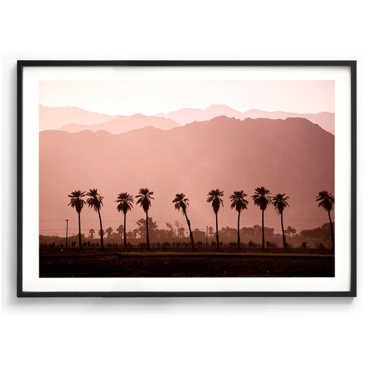Coachella