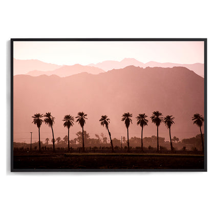 Coachella