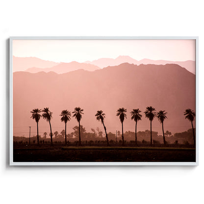 Coachella