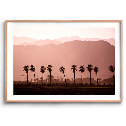 Coachella