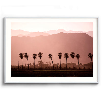 Coachella
