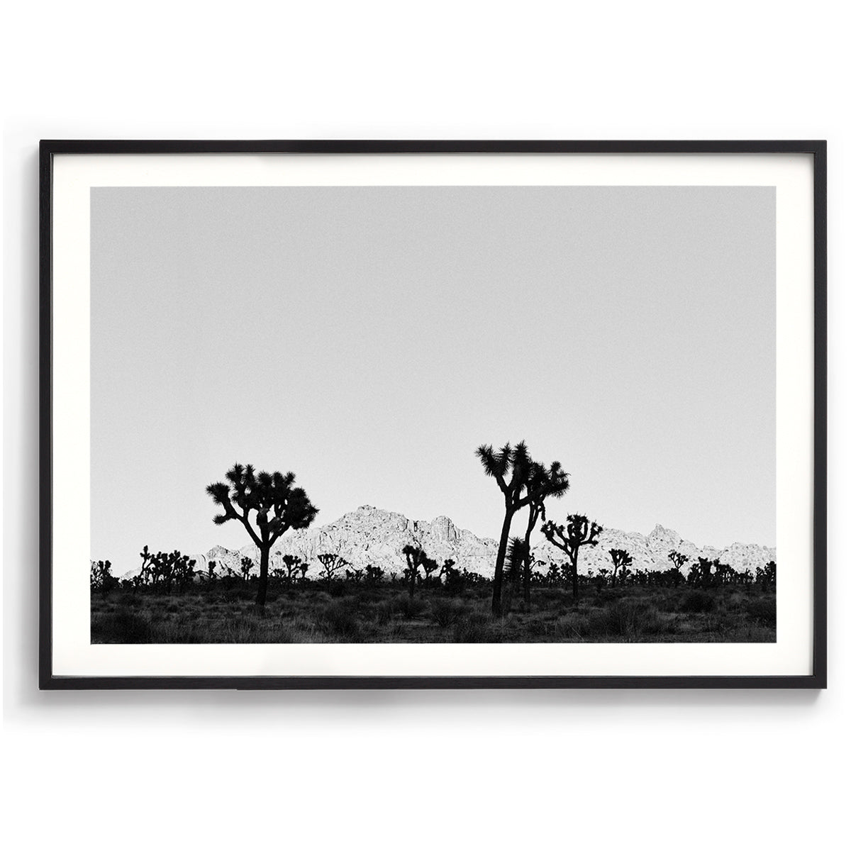 Desert Shade