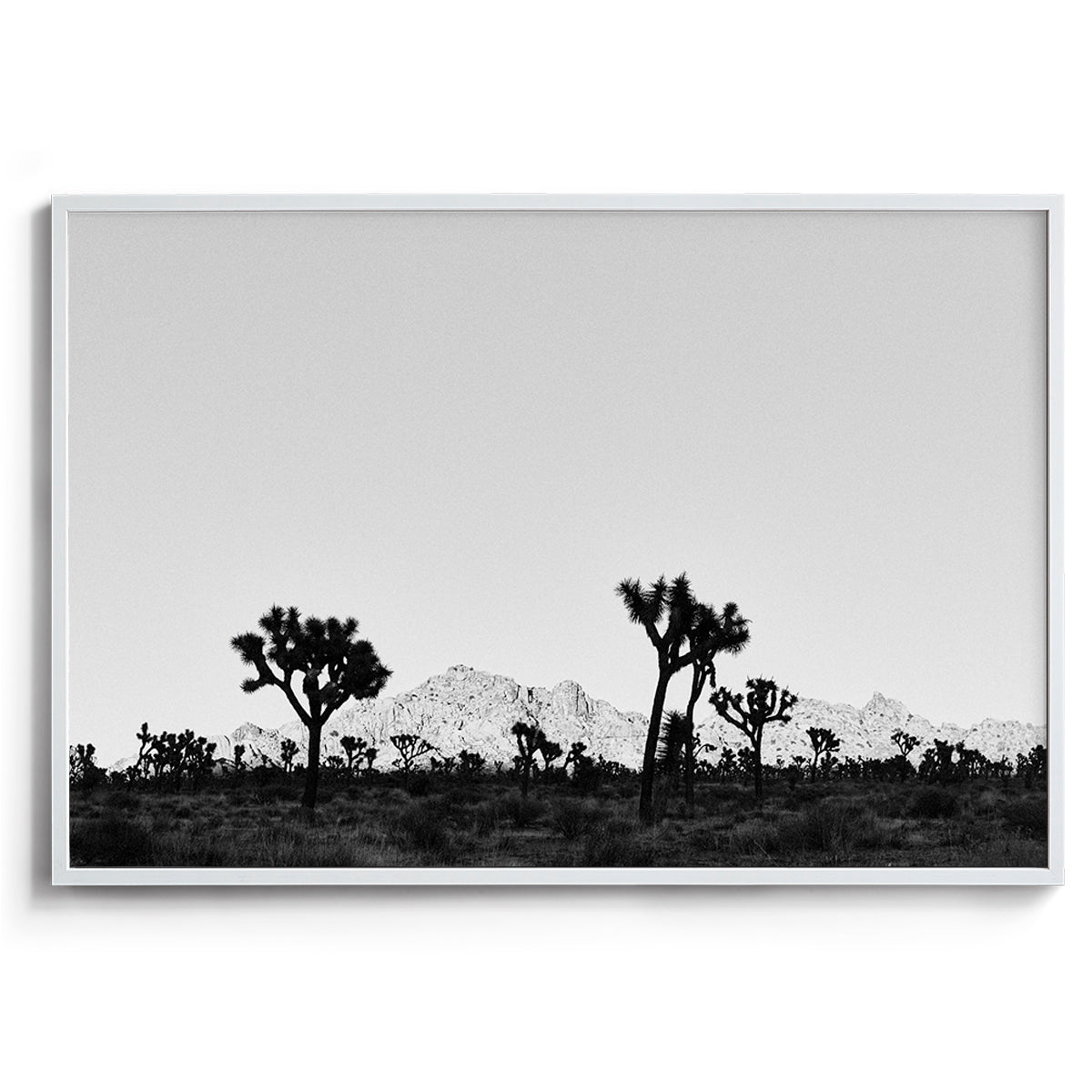 Desert Shade