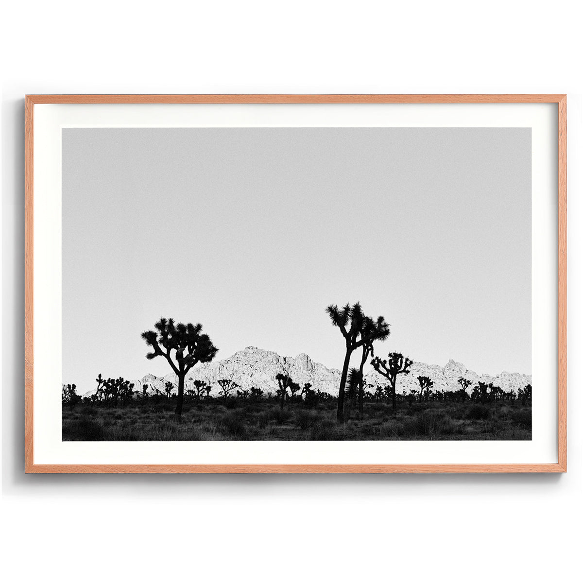 Desert Shade
