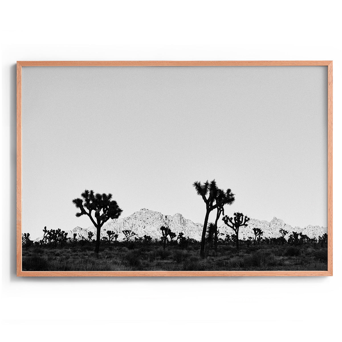 Desert Shade