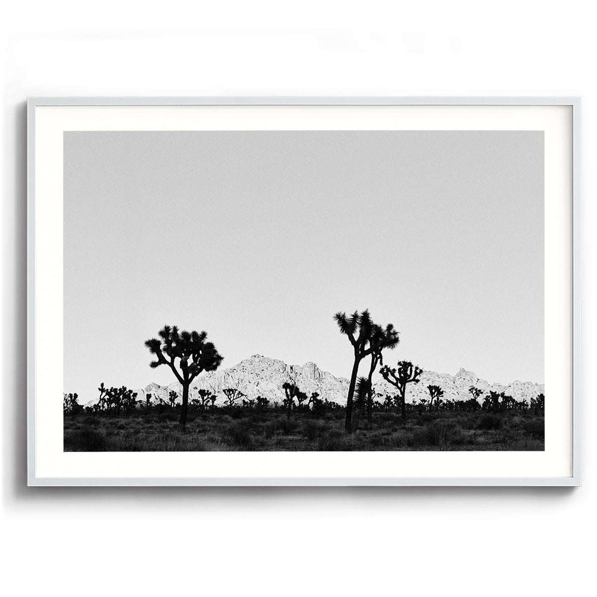 Desert Shade
