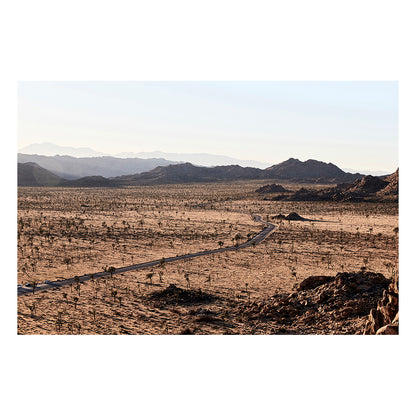 Joshua Tree NP