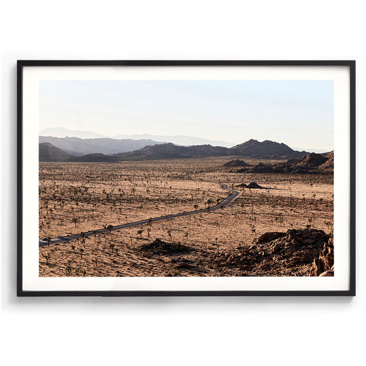 Joshua Tree NP