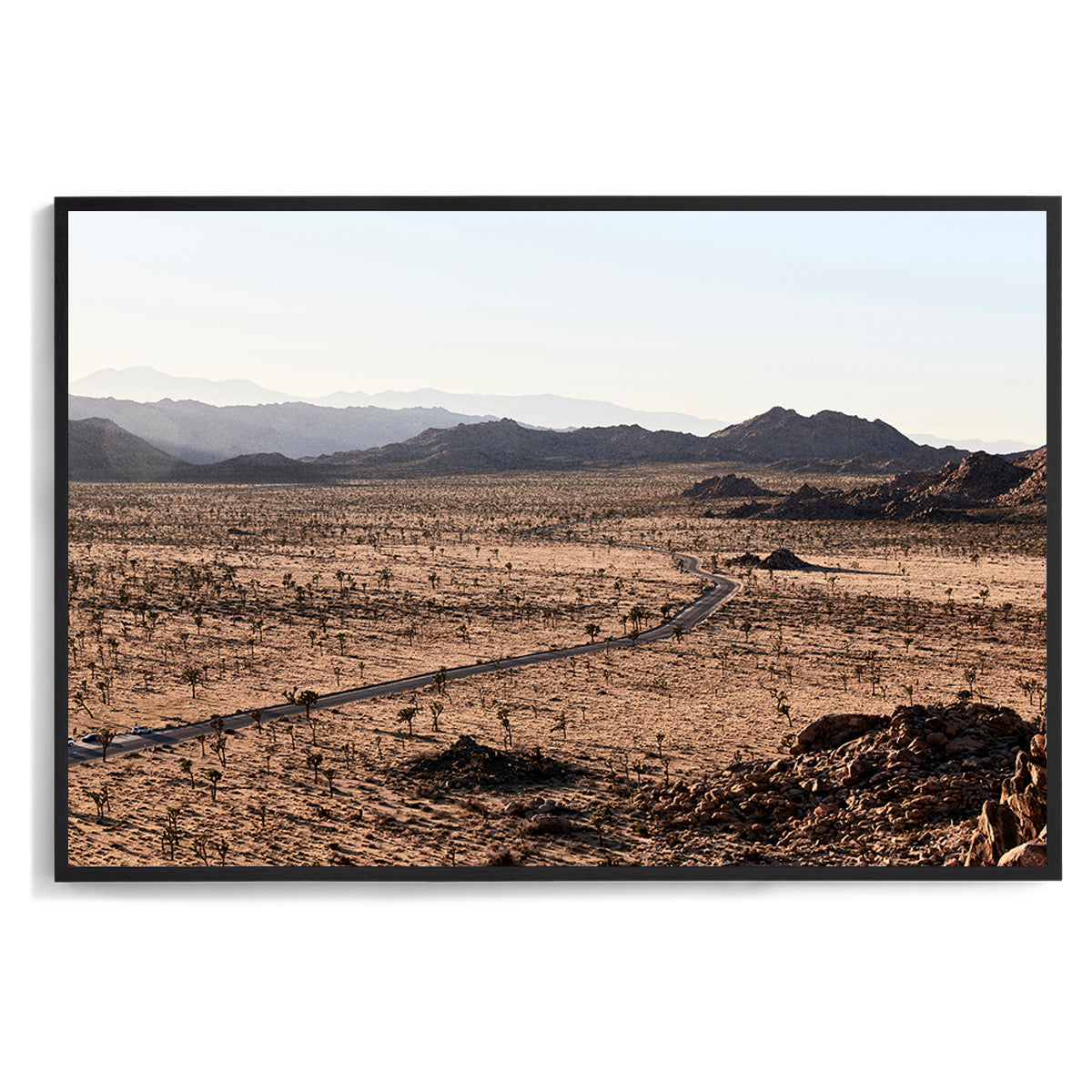 Joshua Tree NP
