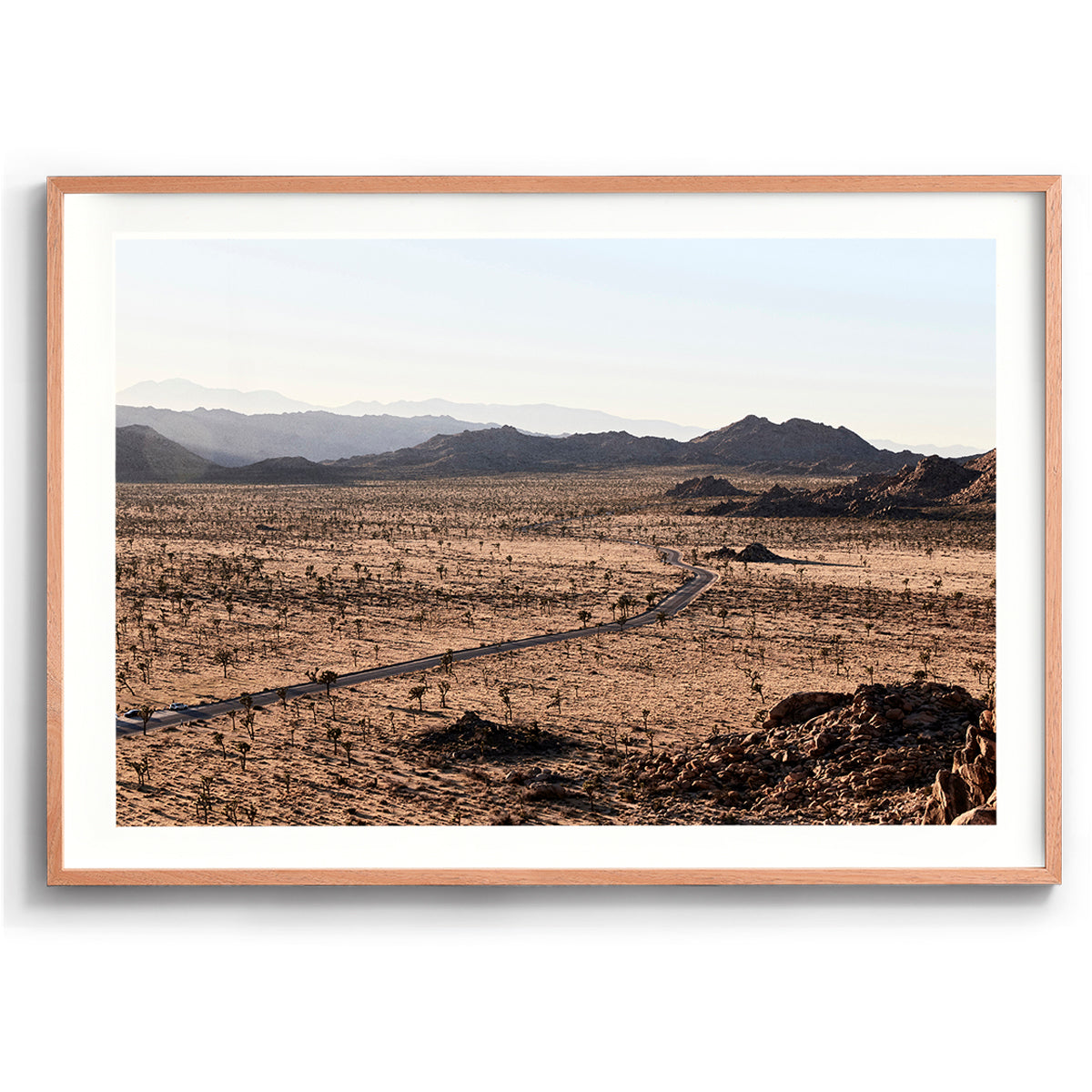 Joshua Tree NP