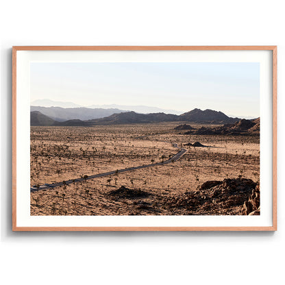 Joshua Tree NP