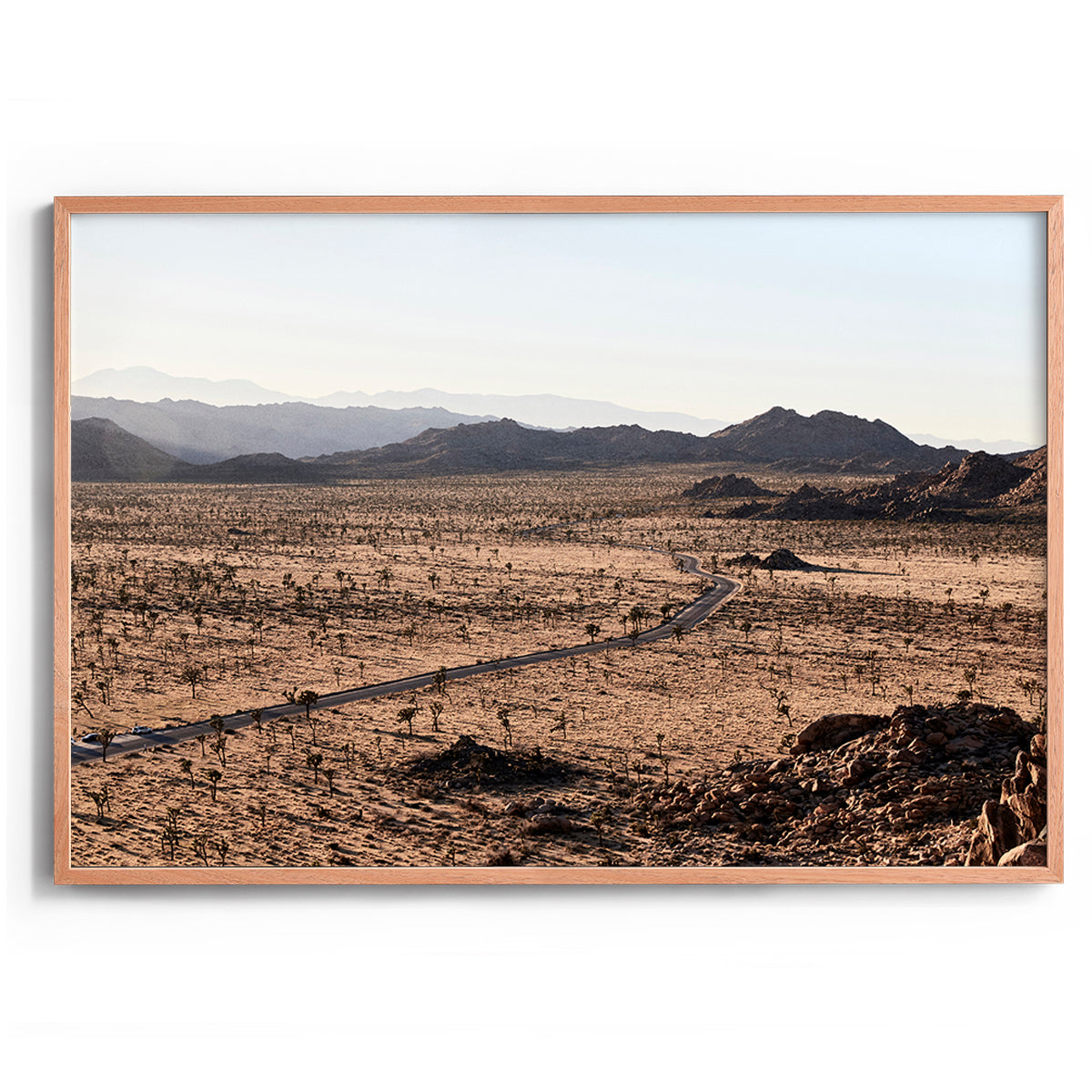 Joshua Tree NP