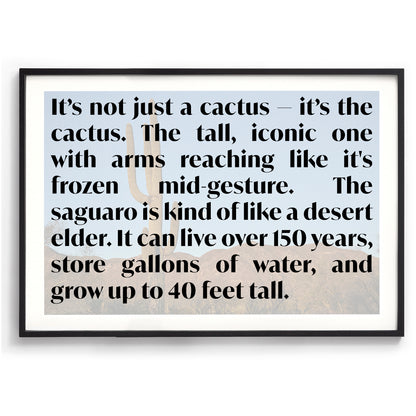 Moon Meets Cactus