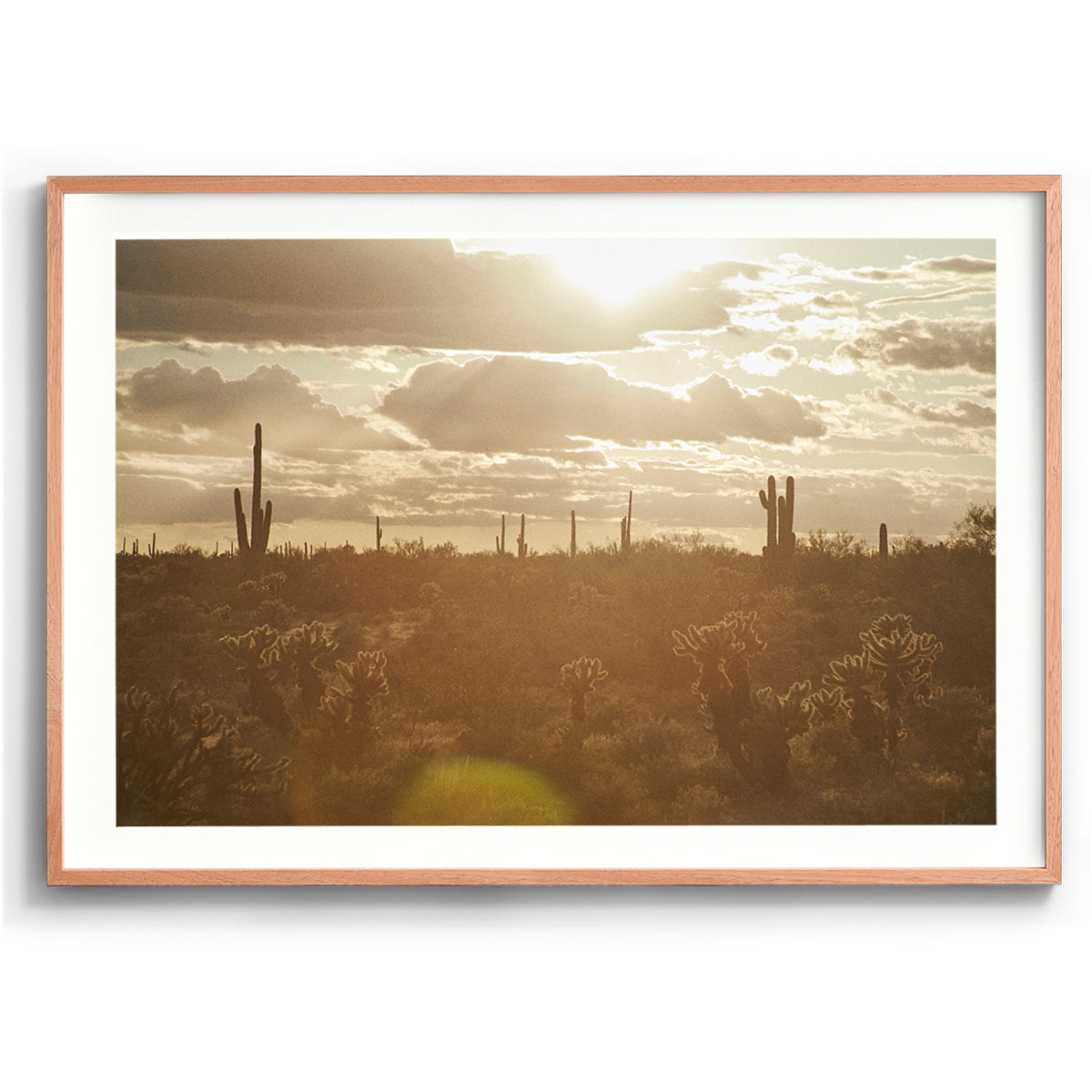 Saguaro Sunsets