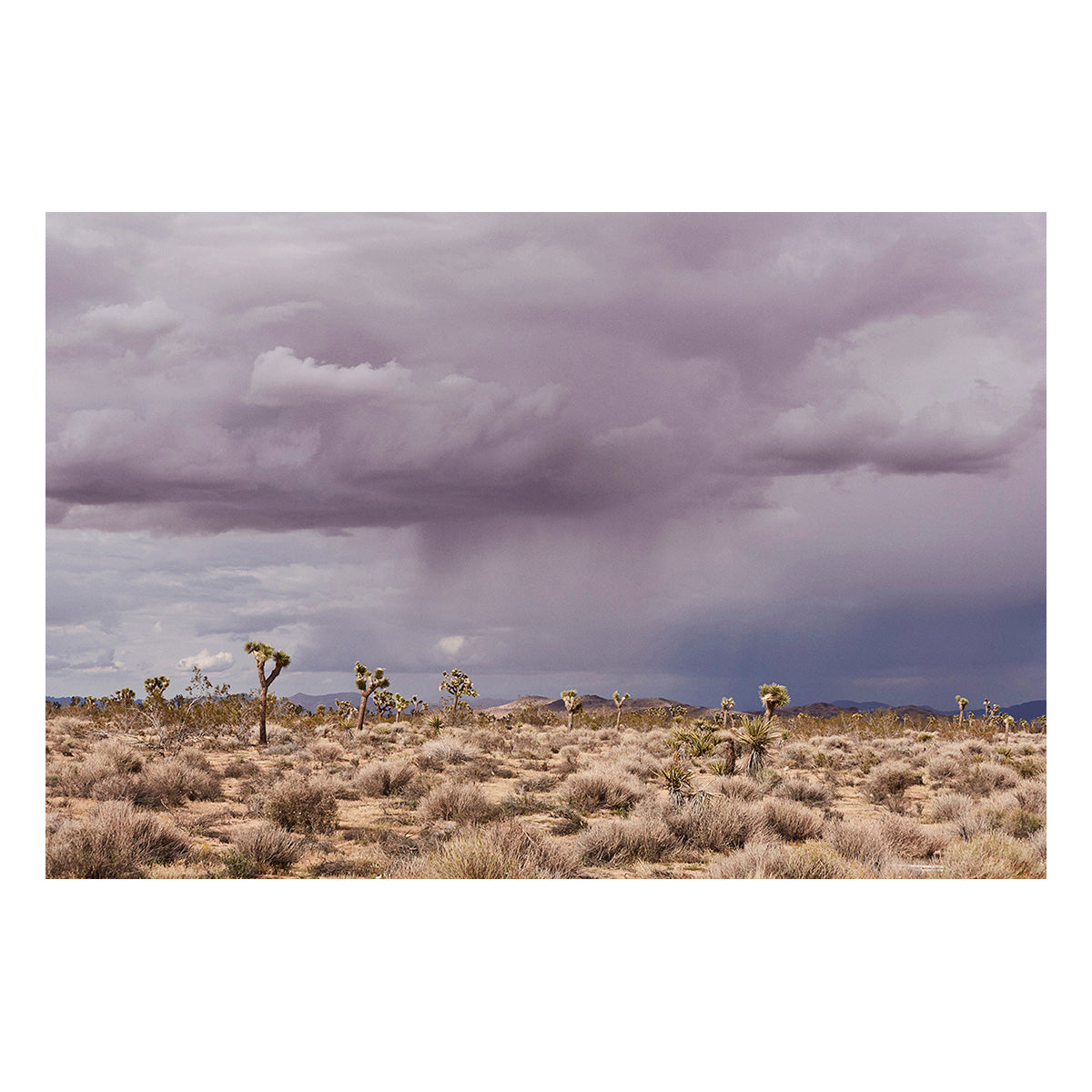 Storm