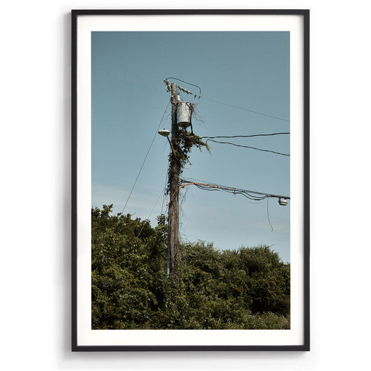 Electric Vine