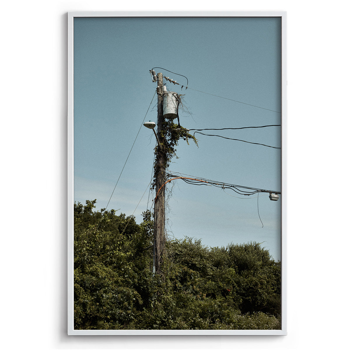 Electric Vine