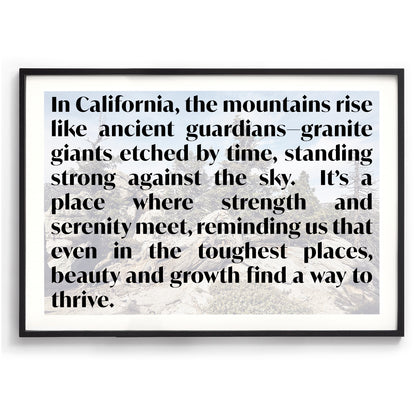 Idyllwild Pines