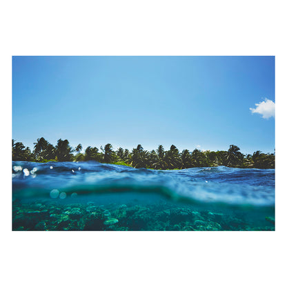 Maldivian Reef