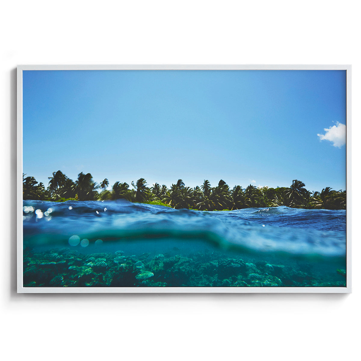 Maldivian Reef