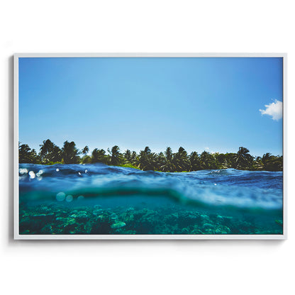 Maldivian Reef