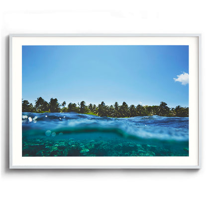 Maldivian Reef
